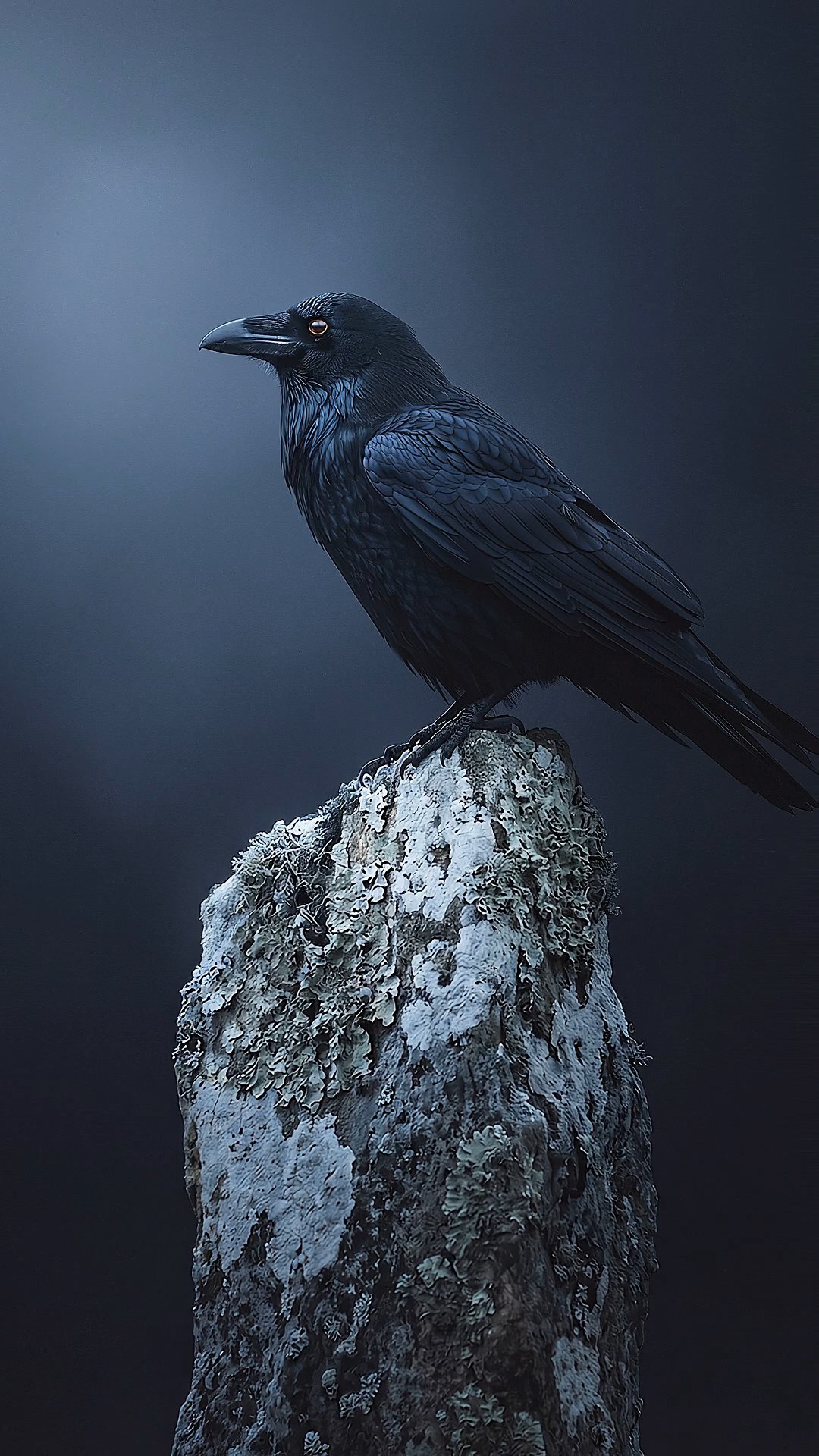 Black raven perched on lichen-covered stump against moody blue misty background