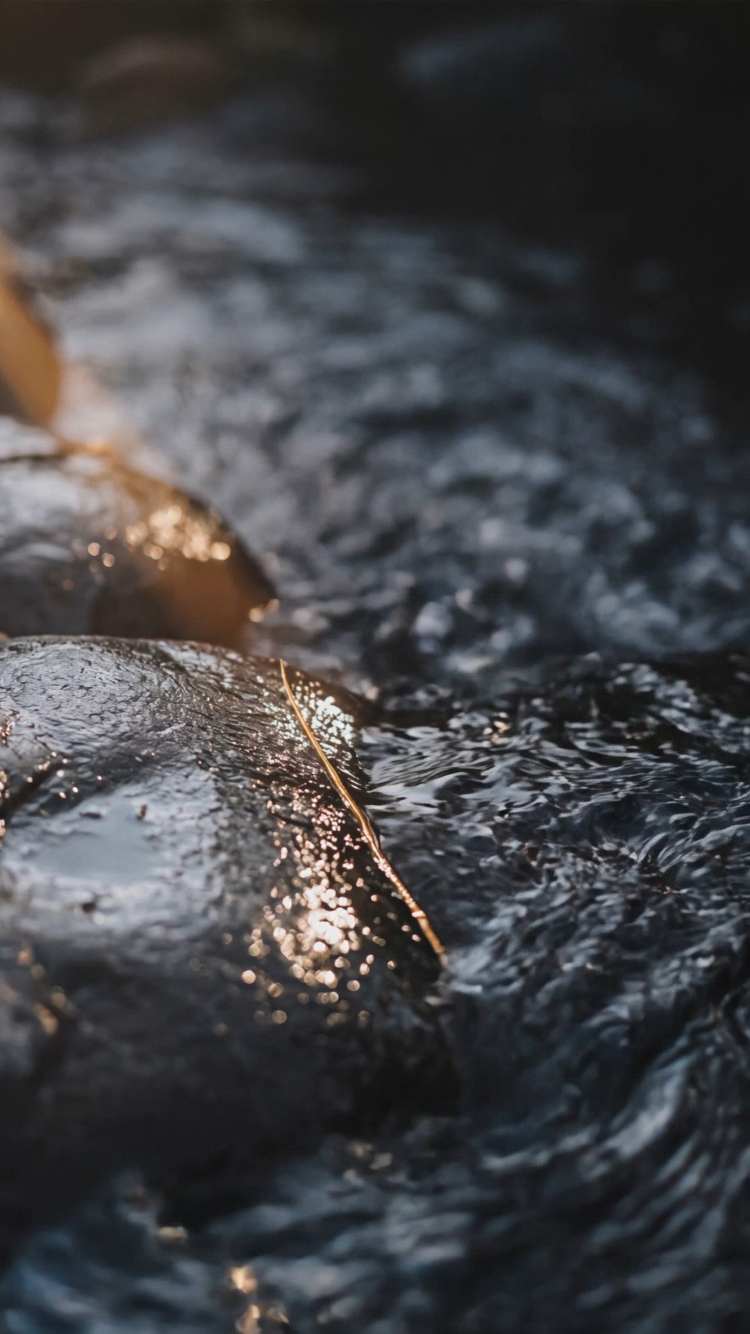 Sunlit stream water flowing over dark wet rocks with a fallen leaf